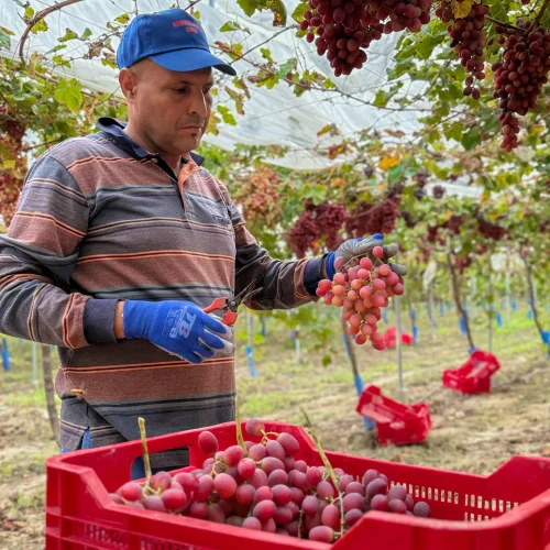 20251008_101708696_iOS