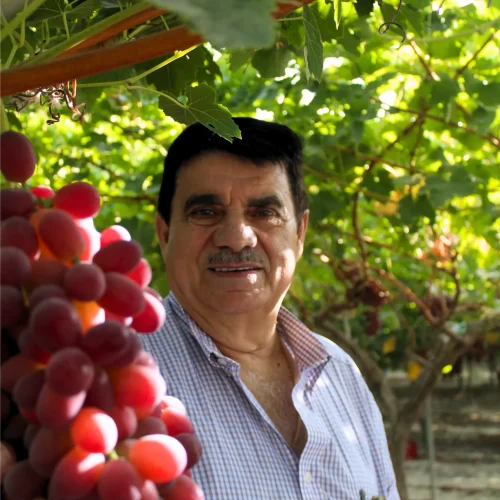 Diseño sin título (10)