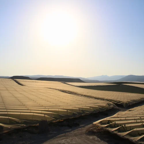 Diseño sin título (44)